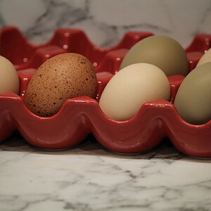 Natural Egg Photo Contest 14.jpg