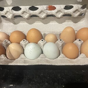 Natural Egg Photo Contest 18.jpg