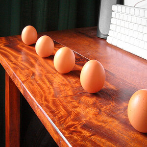 Natural Egg Photo Contest 20.jpg
