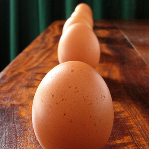 Natural Egg Photo Contest 21.jpg