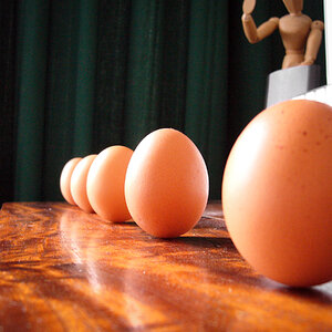 Natural Egg Photo Contest 22.jpg