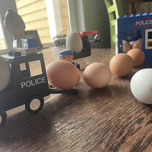 Natural Egg Photo Contest 24.jpg