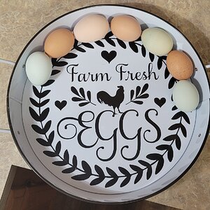 Natural Egg Photo Contest 31.jpg