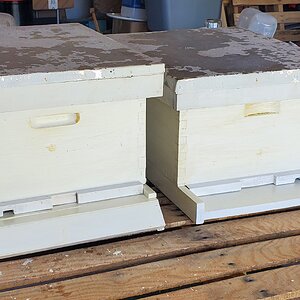 Freshly painted Bee Hives, ready for the bees