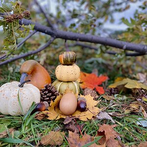 Natural Egg Photo Contest 48.jpg
