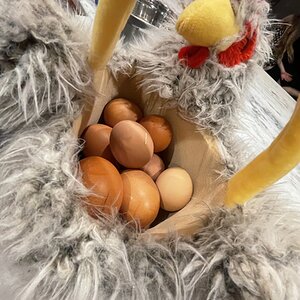 Natural Egg Photo Contest 52.jpg