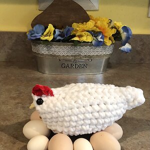 Natural Egg Photo Contest 70.jpg