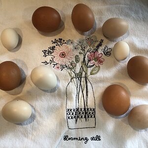 Natural Egg Photo Contest 71.jpg