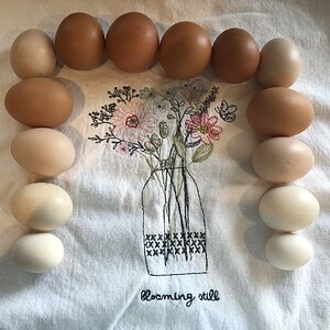 Natural Egg Photo Contest 72.jpg