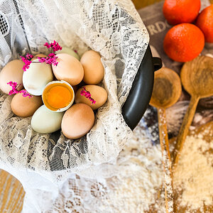 Natural Egg Photo Contest 73.jpg