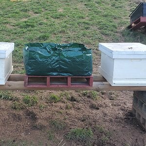 Two beehives with floating bed in between.