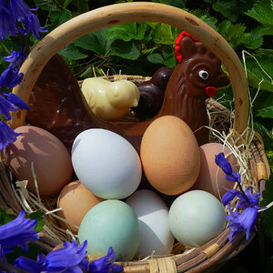 Natural Egg Photo Contest 94.jpg