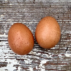 Natural Egg Photo Contest 96.jpg