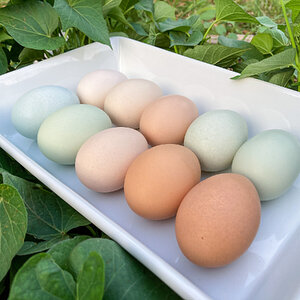 Natural Egg Photo Contest 107.jpg