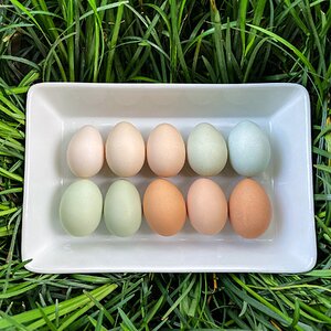 Natural Egg Photo Contest 109.jpg