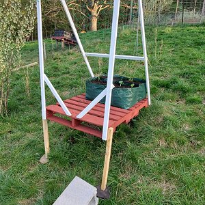 Cucumber/Zucchini and hot-pepper pallet-bed