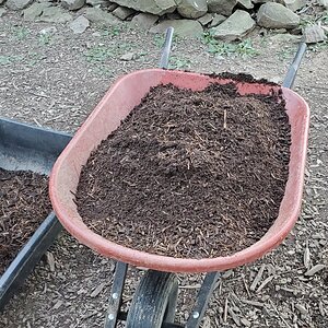 The finest dux-compost soil