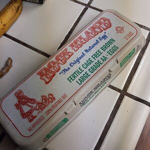 Time to give Sonic some fertile eggs!