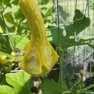 Fantastic Fall Fun 1.jpg