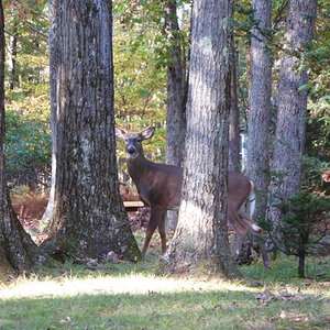 Fantastic Fall Fun 9.jpg