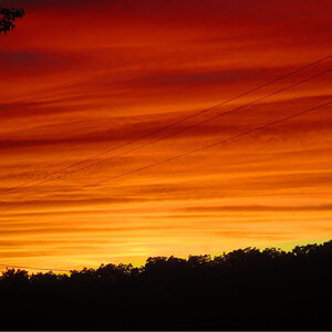 Fantastic Fall Fun 11.jpg