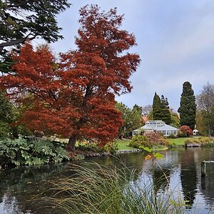 Fantastic Fall Fun 15.jpg