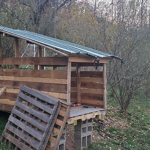 Test-Run for the duck-house roof