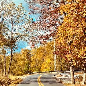 Fantastic Fall Fun 19.jpg