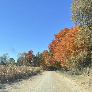 Fantastic Fall Fun 20.jpg