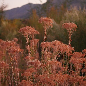 Fantastic Fall Fun 24.jpg