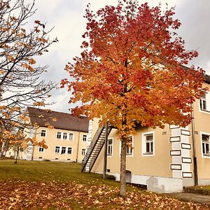 Fantastic Fall Fun 25.jpg