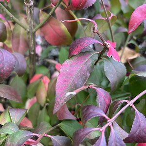 Fantastic Fall Fun 31.jpg