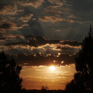 Fantastic Fall Fun 37.jpg