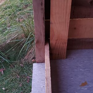 New poop-door for the duck house