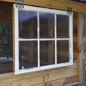 Test of hinged window for the new duck-house