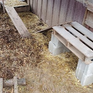 The new duck-run roof