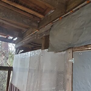 The new duck-run roof from below