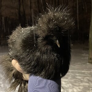 2025Winter on the Farm Photo Contest 1.jpg