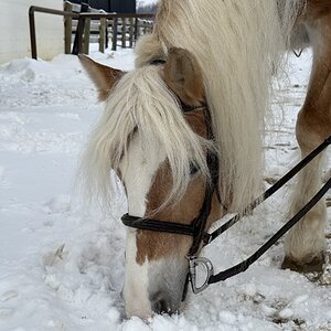 2025Winter Photography Contest 2.jpg