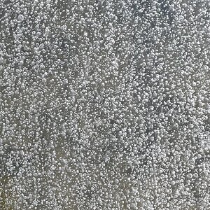 2025Winter Photography Contest 3.jpg