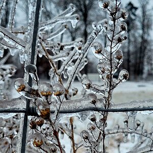 2025Winter Photography Contest 5.jpg