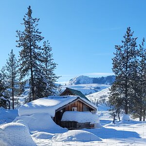 2025Chilly Coop Contest! 4.jpg