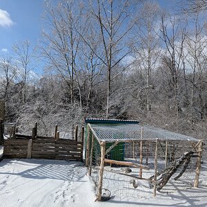 2025Chilly Coop Contest! 5.jpg