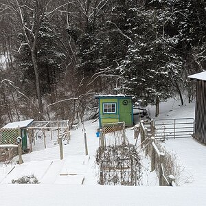 2025Chilly Coop Contest! 6.jpg