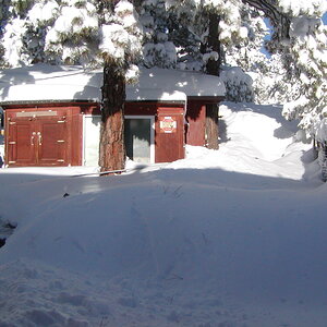 2025Chilly Coop Contest! 9.jpg