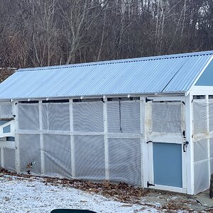 2025Chilly Coop Contest! 12.jpg