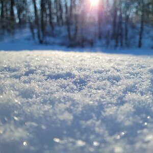 2025Winter Photography Contest 9.jpg