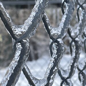 2025Winter Photography Contest 11.jpg