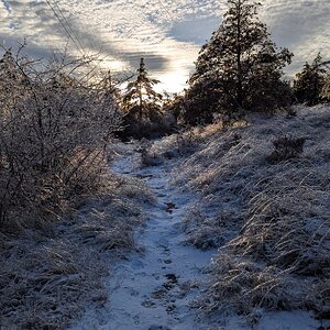 2025Winter Photography Contest 15.jpg