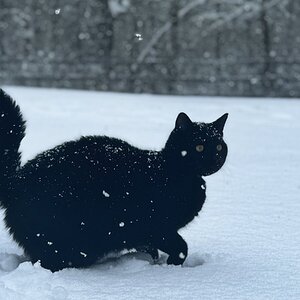 2025Winter Photography Contest 19.jpg